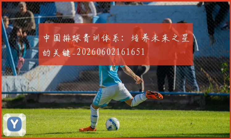 中国排球青训体系：培养未来之星的关键_20260602161651