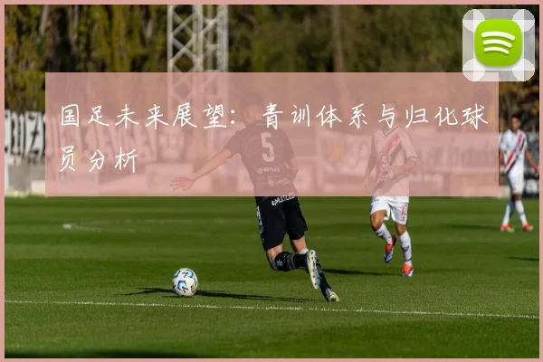 国足未来展望：青训体系与归化球员分析