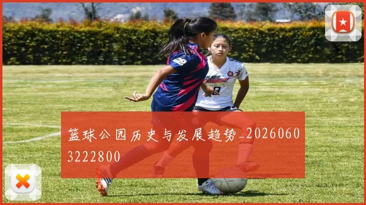 篮球公园历史与发展趋势_20260603222800