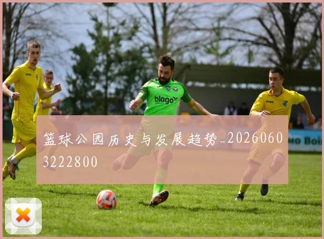 篮球公园历史与发展趋势_20260603222800