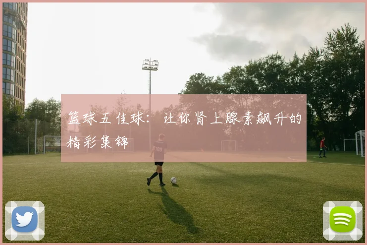 篮球五佳球：让你肾上腺素飙升的精彩集锦
